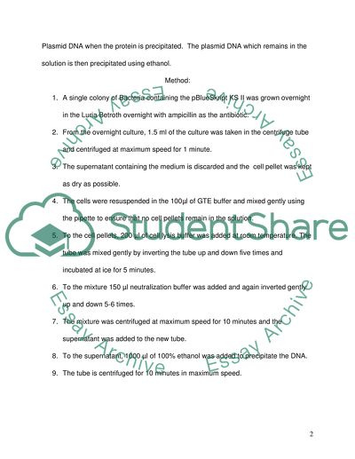 Plasmids and Ligation Process