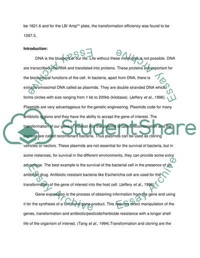 Bacterial transformation and gene expression
