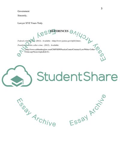 Irregularities in the Accounting Reports