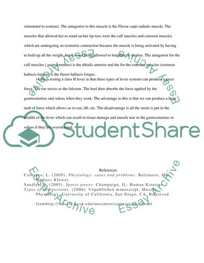 Muscle Contraction Mechanism