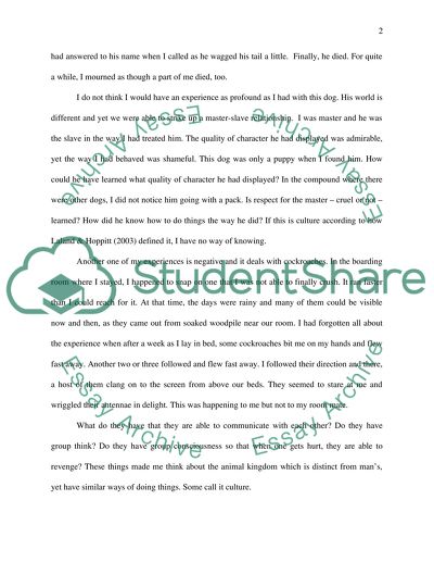 Summary on Do Animals Have Culture