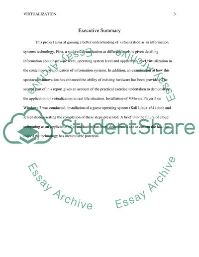 Virtualization of Information Systems Technology