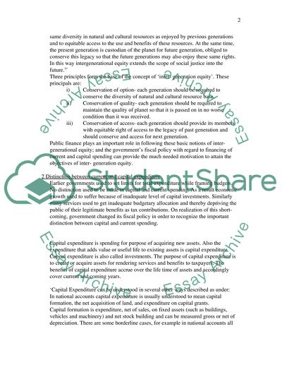 Public Finance and Inter-Generational Equity
