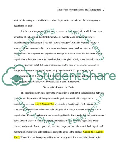 H&M Consulting Organization Structure and Design