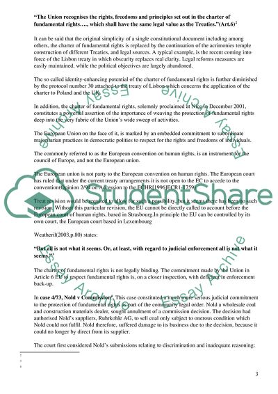 The Idea to Draft an Autonomous Human Rights