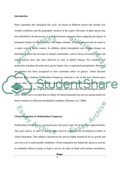 Clonal Integration in Ochthochloa Compressa Ecotypes under Various Environmental Conditions