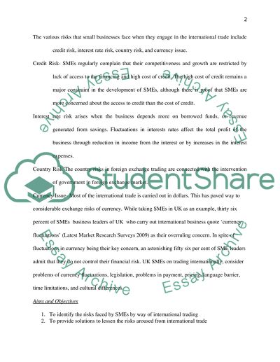 Small and Medium-Sized Enterprises and the Risks They Face in an International Environment