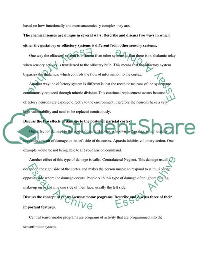 Obtaining Structural Images of the Living Human Brain