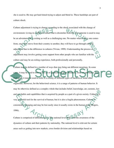 The Process of Cultural Adjustment