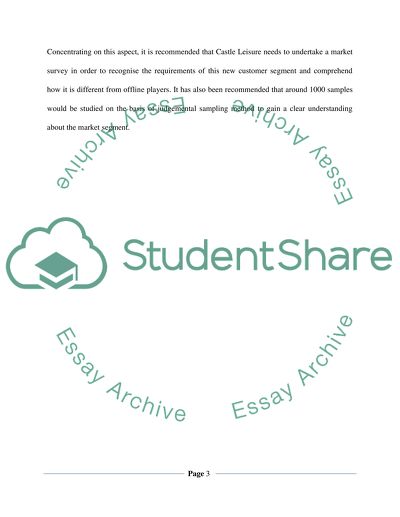 Marketing Research Program for Castle Bingo