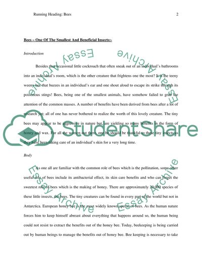 Bees: The Smallest and Beneficial Insects