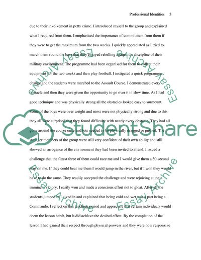 Professional Identities and Practice Styles