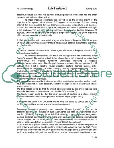 Analysis of Bacterial Identification