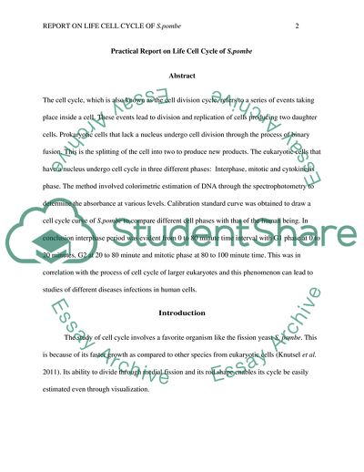 Practical Report on Life Cell Cycle of Fission Yeast