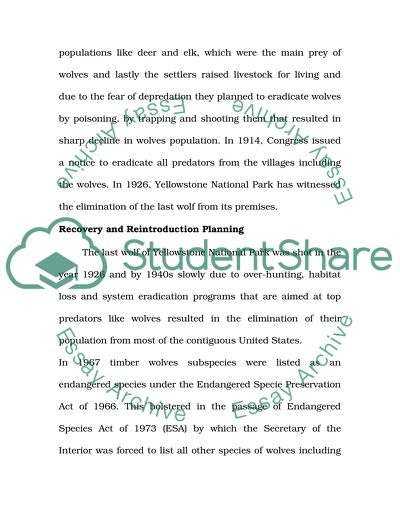 Reintrodution Of Wolves