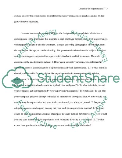 Diversity in Organizations