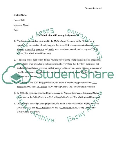 THE MULTICULTURAL ECONOMY 2010 ASSIGNMENT #1