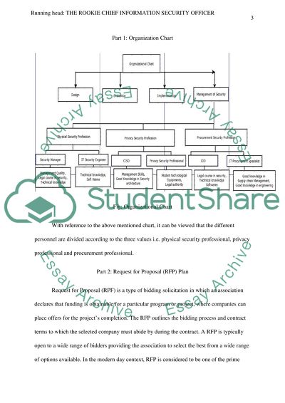 The Rookie Chief Information Security Officer