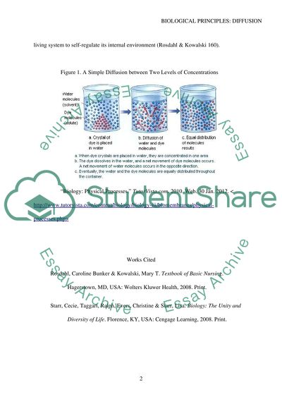 importance of diffusion biology essay