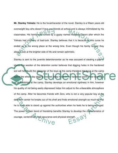 First paper- about Mr.Sir. Second paper- about Stanley Yelnats. Last two paper summery of the book HOLES
