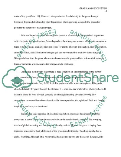The biotic and abiotic structure and function of an ecosystem