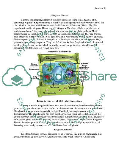 The Five Kingdoms of Organism