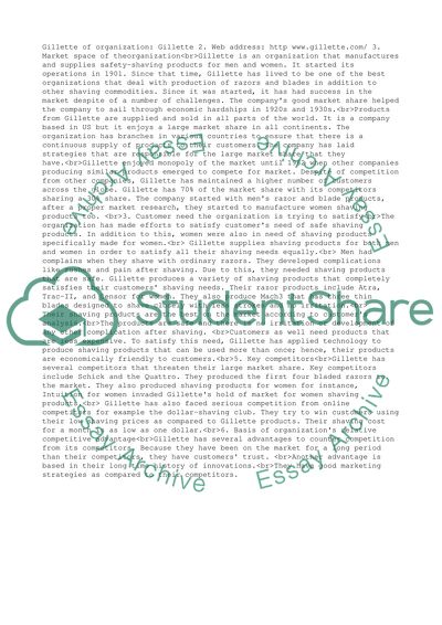 Analysis of Organization Which Has a Web Presence: Gillette