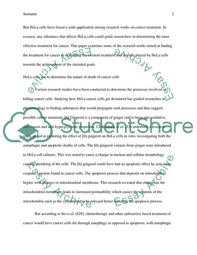 How HeLa Cells Help Researchers Looking for Cancer Treatment