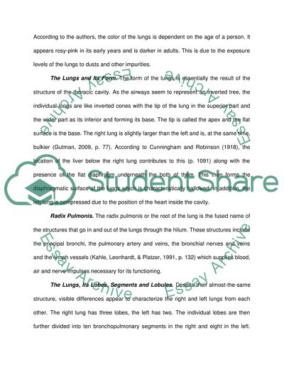 The Anatomy of the Lungs