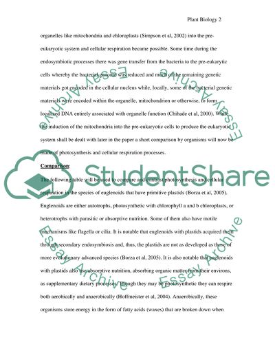 Photosynthesis and Cellular Respiration