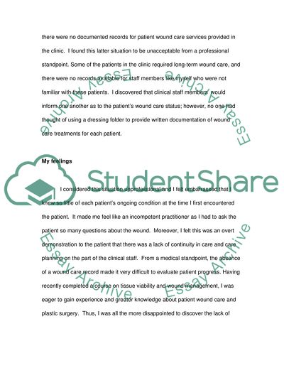 Developing Professional Practice Portfolio