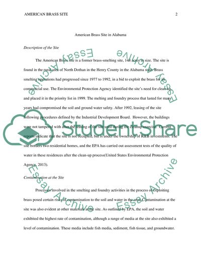 Description of the American Brass Site