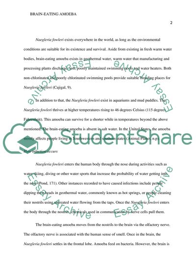 Brain-Eating Amoeba Issues