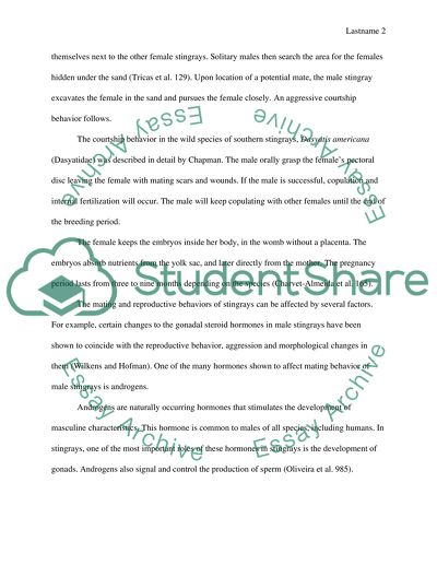 The Effects of Androgen on the Mate-finding Behavior of Stingray