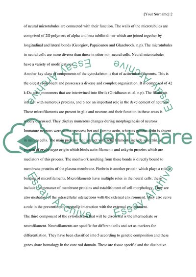 Molecular biology of the neuronal cytoskeleton