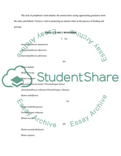 Museum of man- primates