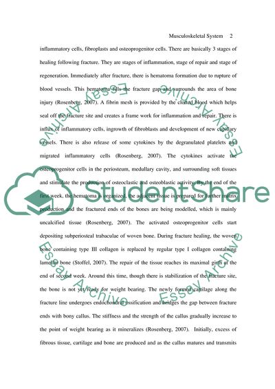 Musculoskeletal System