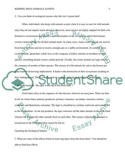 In UAE Wild Animals Become Pets