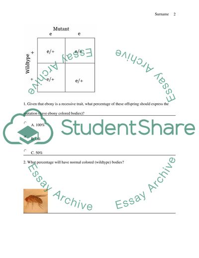 Fruit Flies and Genetic Traits