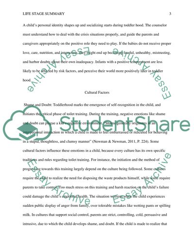 Cultural Factors That Affect a Childs Wellness