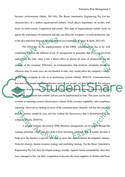 Enterprise Risk Management - Bauer Automotive Engineering Pty Ltd