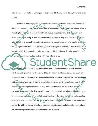 Erasmus essay example image