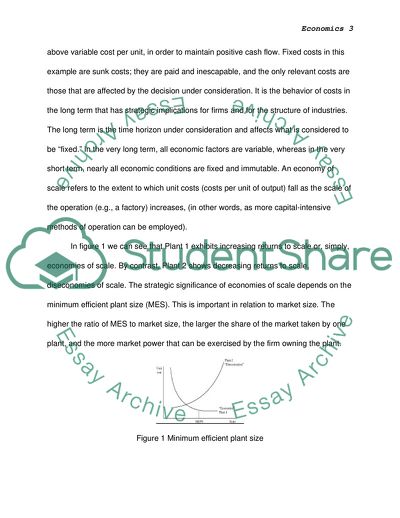 Th Microeconomics of Strategy