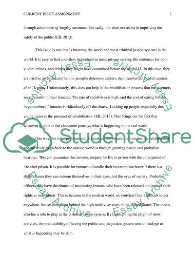 Current Issue Assignment-criminal justice