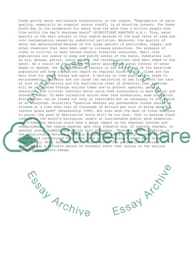 The Great South Bay of Long Ireland