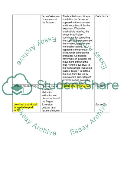 Physical Dimensions of Human Occupation