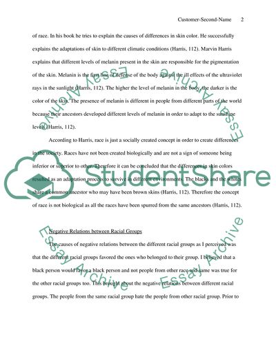 Race and Ethnic Relations: Asian Americans