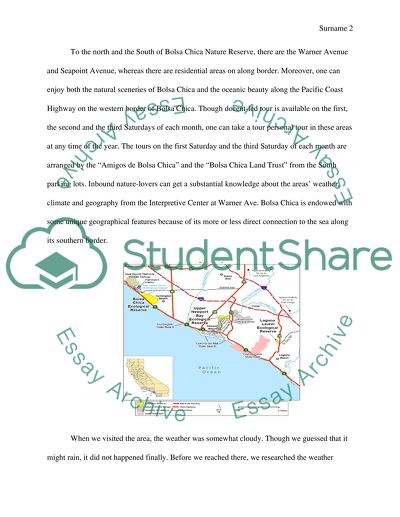 BBolsa Chica Wetlands