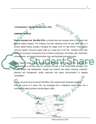Analysis of the Activities and Work of a Trading Company