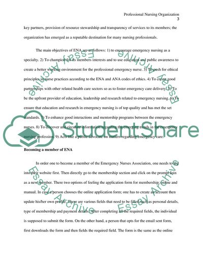 Professional Nursing Organization